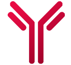 Antibody Icon